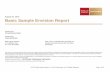 Financial Advisor Basic Sample Envision Report · Financial Advisor Wells Fargo Advisors 1 N. Jefferson Ave. St. Louis, MO 63103 Note: This is a sample report and does not ... This