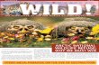 ARCTIC NATIONAL WILDLIFE REFUGE - New Mexico Wilderness ... The Arctic National Wildlife Refuge may