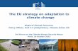 The EU strategy on adaptation to climate change€¦ · Climate Action The documents Commission Communication "An EU Strategy on adaptation to climate change" COM (2013) 216, including