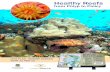 Healthy Reefs - CoralWatch · - Explain that coral reefs are home to amazing biodiversity. Beginning with a single polyp, reefs can grow so large that they can be seen from space.
