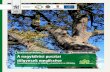Természetvédelem Biodiverzitás Fenntarthatóság A ...pusztaitolgyesek.hu/uploads/Letoltes/Reports/... · (LIFE-Nature) és az EU-n kívüli tevékenységekre (LIFE-Third Countries).