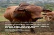 Livestock breeding and other advances in animal, insect ... animal genetics... · The third pillar for the application of animal genetics lies in Africa’s great biodiversity. Both