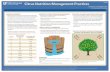 Citrus Nutrition Management Practices HS1292edis.ifas.ufl.edu/pdffiles/HS/HS129200.pdf · Source: Nutrition of Florida Citrus Trees, Second Edition. Edited by Thomas A. Obreza and