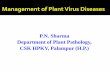 P.N. Sharma Department of Plant Pathology, CSK HPKV ... · “Matthews Plant Virology” by Roger Hull. I acknowledge the scientists who spent valuable time in generating information