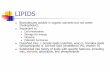2 - Digestion and Absorption of Lipids - WordPress.com · 2017-02-02 · Dietary Lipids n Dietary lipids comprise triglycerides (90%), essential fatty acids, cholesterol phospholipids,