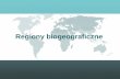 Regiony biogeograficzneinvertebrates.uni.lodz.pl/wp-content/themes/kzbih/pdf/... · 2011-05-09 · [The Great American Biotic Interchange] mln lat temu Wydarzenia 220-160 Ameryka
