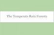 The Temperate Rain Forests - Charles P. Allen High Schooltcdsbstaff.ednet.ns.ca/hwalsh/ggs12/The Temperate Rain... · 2013-03-07 · 1. The temperate rain forest exists right in the