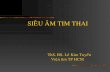 SIEÂU AÂM TIM THAItimmachhongtam.com/tailieusieuamtimthai/sieu_am_tim_thai.pdf · TL : Drose J.A. Fetal Echocardiography WB Saunders, ... Color Atlas of Fetal Cardiology, L Allan,