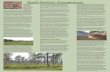 Quail Habitat Management - Clemson UniversityWhen possible, no-till methods of planting should be incorporated into the farming operation. No-till, or conservation tillage, yields
