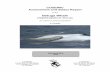 Beluga Whale,Delphinapterus leucas - Canada.caregistrelep.gc.ca/virtual_sara/files/cosewic/sr_Beluga Whale_2014_e.pdfRichard, P. 1993. COSEWIC status report on the beluga whale Delphinapterus