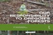 OUR RESPOSIBILITY TO OREGO’S FORESTS · 2020-05-05 · with forestry best management practices to protect water quality. 4. Protection of Biological Diversity: To manage forests