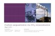 Carbon sequestration via CO2 mineralization Combining Capture and Sequestration Provides Proo s g Oppo