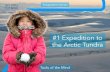 #1 Expedition to the Arctic Tundra€¦ · The Ice Age mammoth steppe, where woolly mammoths and cave lions once roamed, was a similar ecosystem to the Arctic tundra. While the mammoth