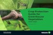Publication 835 – Crop Protection Guide for Greenhouse Vegetables …omafra.gov.on.ca/english/crops/pub835/pub835.pdf · 2020-03-26 · information on pest management strategies,