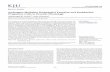 Review Article - KoreaMed · growth factor (VEGF), endothelial nitric oxide synthase (eNOS), metallo-peptidase-9 (MMP-9), and other mo-dulators of endothelial progenitor cell (EPC)