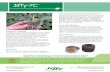 Manufactured from Coir pith, the Jiffy-7C follows the ...€¦ · Manufactured from Coir pith, the Jiffy-7C follows the proven Jiffy-7 pellet format & offers a peat free, open structured