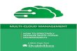 MULTI-CLOUD MANAGEMENT - Doublehorn€¦ · MULTI-CLOUD MANAGEMENT 2. MULTI-CLOUD MANAGEMENT: AN OVERVIEW MULTI-CLOUD MANAGEMENT Multi-cloud management is an open cloud platform delivered