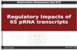 Regulatory Impacts of 6S pRNA transcripts · Clemens Thölken Regulatory Impacts of 6S pRNA transcripts Feburary 18th 2015 Bioinformatics Winterseminar Bled 2015