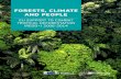FORESTS, CLIMATE AND PEOPLE...Forest landscapes, particularly tropical forests, play a critical role in climate change mitigation, adaptation and development. Forests regulate the