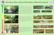 HEALTHY - New Jersey Stream... · 2017-08-21 · In healthy streams, we expect to see a diverse habitat with alternating riffles, runs, and pools with numerous boulders, cobbles,