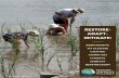 RestoRe- AdApt- MitigAteclimate change and sustainable management Purposeful restoration of wetlands began in the U S in the 1960s Early restoration projects were small-scale and fragmented