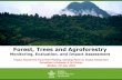 Forest, Trees and Agroforestry - CGIAR...Sustainable Wetlands Adaptation and Mitigation Program (O&IA) Furniture Value Chain (O&IA) Agroforestry for Food Security (AFSPII) in Malawi