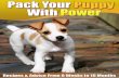 Pack Your Puppy With Power - Amazon Web Serviceshk9.s3.amazonaws.com/documents/Pack-Your-Puppy-With-Power.pdf · Pack Your Puppy With Power By Andrew Lewis 7 Puppy Growth Rate Age