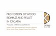 PROMOTION OF WOOD BIOMASS AND PELLET IN …...PROMOTION OF WOOD BIOMASS AND PELLET IN CROATIA WOODEMA CONFERENCE, GDANSK 2013 Prof. Ana Dijan, Editor-in-Chief, Wood & Furniture Magazine