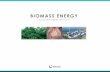 BIOMASS ENERGYstar.gsd.spc.int/images/presentation17/... · II. 12MW Nabou Biomass Power Plant III. Wood Pellet Projects IV. Conclusion 2. ... - 500,000 ton/yr Wood Pellet Production