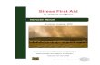 Stress First Aid...Stress First Aid for Wildland Firefighters 90 minute Training, 2018 U.S. Forest Service Department of Agriculture National Fallen Firefighters FoundationThe U.S.