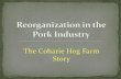 Coharie Hog Farms - Pork Checkoff...The Toughest Part –Employee Impact • Shock phase (disbelief –“ I can’t believe this has happened”) • Rally phase (loyalty –“we