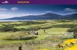 Tourism Ireland SOAR · 1 Tourism Ireland SOAR (Situation & Outlook Analysis Report) May 2018 Royal County Down Golf Club, Northern Ireland