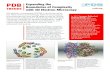 PDB Expanding the Boundaries of Complexity TRENDS · 2017-10-27 · advanced computing. Expanding the Boundaries of Complexity with 3D Electron Microscopy PDB TRENDS rcsb.org In 2017,