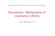 Hormones. Mechanism of regulatory effectsdo.rsmu.ru/fileadmin/user_upload/lf/Hormones_1.pdf · Hormones refers to biologically active substances which are synthesized in endocrine