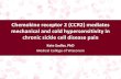 Chemokine receptor 2 (CCR2) mediates mechanical and cold ... · Chemokine receptor 2 (CCR2) mediates mechanical and cold hypersensitivity in chronic sickle cell disease pain Kate