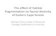 The effect of habitat fragmentation on faunal …biodiversityadvisor.sanbi.org/.../05/4-PresentationFBIP.pdf2016/05/04  · forests, particularly habitat fragmentation. 4. We aim to