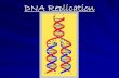 DNA Replication - Houston Independent School District · A. Basic Facts of DNA Replication. 2. One side of DNA molecule is a . template. for making the other side (strand)?’s 1-3.