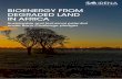 BIOENERGY FROM DEGRADED LAND IN AFRICA · Citation: IRENA (2017), Bioenergy from degraded land in Africa: Sustainable and technical potential under Bonn Challenge pledges, International