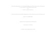 Cultural Approaches to Evaluating Indigenous Early Intervention Programs: A Case Study ... · Cultural Approaches to Evaluating Indigenous Early Intervention Programs: A Case Study