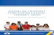 SAISD BlueprInt for excellence: tArget 2020SAISD Blueprint for Excellence: Target 2020 is about developing lifelong learners who graduate feeling empowered and equipped to pursue their