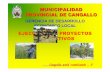 Exposici n Municipalidad Provincial de Cangallo...•Construcción e implementación de planta piloto de procesamiento Cereales • Articulado con el sub componente productivo agrícola