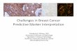 Challenges in Breast Cancer Predictive Marker Interpretation · All primary breast cancers and metastases should have at least one HER2 test performed All newly diagnosed patients