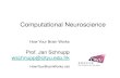 Computational Neuroscience - How Your Brain Workshowyourbrainworks.net/HYBWfiles/HYBW_ComputationalNeuroscience.pdf · Computational Neuroscience How Your Brain Works Prof. Jan Schnupp
