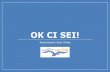Ok Ci sei! · Il progetto ‘Ok ci sei!’ Il progetto Ok Ci Sei! consiste nell’installazionedi un sistema per la gestione informatizzata delle presenze dei bambini nei nidi d’infanzia.