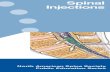 Spinal Injections - parkviewortho.com · Your Injections A spinal injection is an outpatient procedure. Before your injection, you will be asked questions about your health and given
