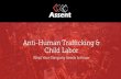 Anti-Human Trafficking & Child Labor · Anti-Human Trafficking & Child Labor What Your Company Needs to Know. ... compliance with legal requirements, the construction and implementation