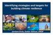Identifying strategies and targets for building climate ...€¦ · Identifying strategies and targets for building climate resilience Jamison Ervin, Senior Advisor, UNDP. ... that