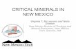 CRITICAL MINERALS IN NEW MEXICO /mclemore/documents/ASG18McLemor… · Critical Minerals • 35 critical minerals were identified • New Mexico has many of these critical minerals