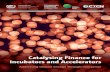 Catalysing Finance for Incubators and Accelerators€¦ · Catalysing Finance for Incubators and Accelerators. Addressing Climate Change Through Innovation • Innovation is crucial