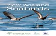 New Zealand Seabirds - COnnecting REpositories · New Zealand is the undisputed seabird capital of the world, holding: • More threatened seabird species than anywhere else in the